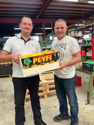 Zwei Männer stehen in einer Obstpackstation und halten gemeinsam eine Kiste mit Zitrusfrüchten – Symbol für Transparenz und enge Zusammenarbeit mit den Produzenten